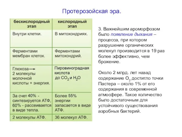 Протерозойская эра. 3. Важнейшим ароморфозом было появление дыхания – процесса, при