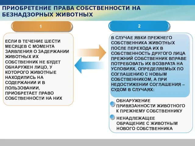 ПРИОБРЕТЕНИЕ ПРАВА СОБСТВЕННОСТИ НА БЕЗНАДЗОРНЫХ ЖИВОТНЫХ 1 2 В СЛУЧАЕ ЯВКИ