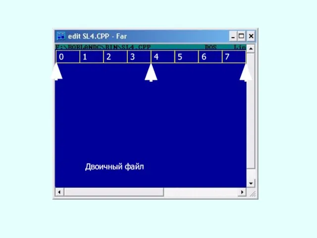 Двоичный файл 0 1 2 3 4 5 6 7