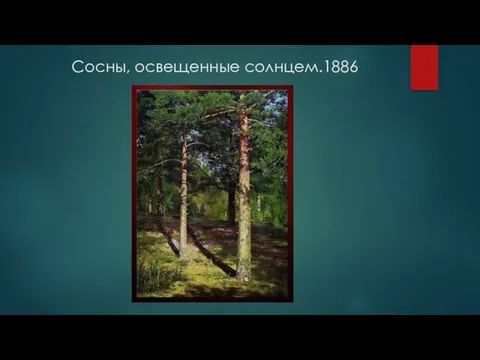 Сосны, освещенные солнцем.1886