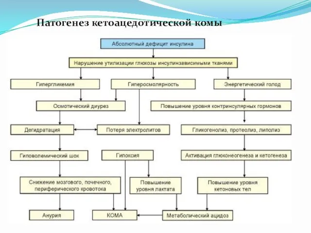 Патогенез кетоацедотической комы