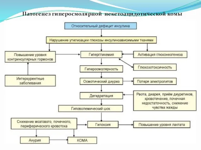 Патогенез гиперосмолярной некетоацидотической комы