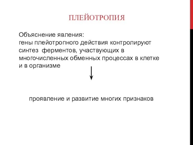 ПЛЕЙОТРОПИЯ Объяснение явления: гены плейотропного действия контролируют синтез ферментов, участвующих в