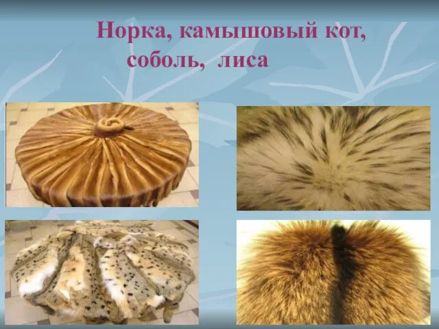 Норка, камышовый кот, соболь, лиса