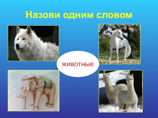 Назови одним словом