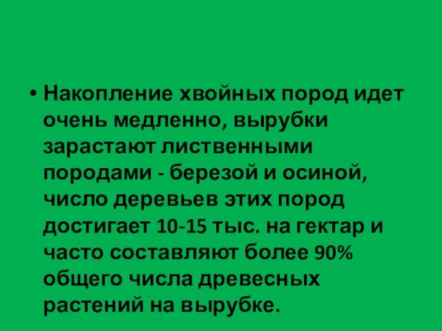 Накопление хвойных пород идет очень медленно, вырубки зарастают лиственными породами -