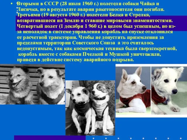 Вторыми в СССР (28 июля 1960 г.) полетели собаки Чайка и