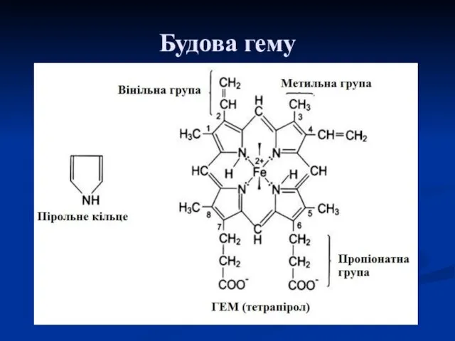 Будова гему