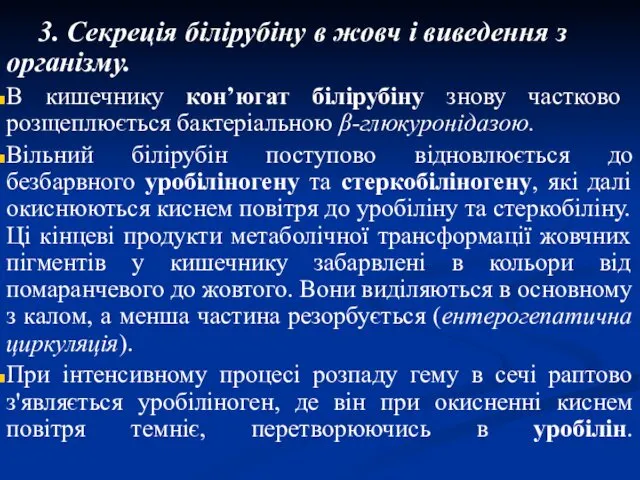 3. Секреція білірубіну в жовч і виведення з організму. В кишечнику