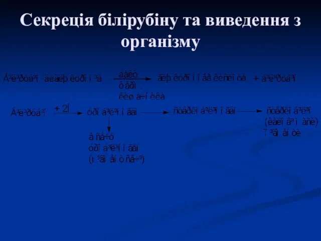 Секреція білірубіну та виведення з організму