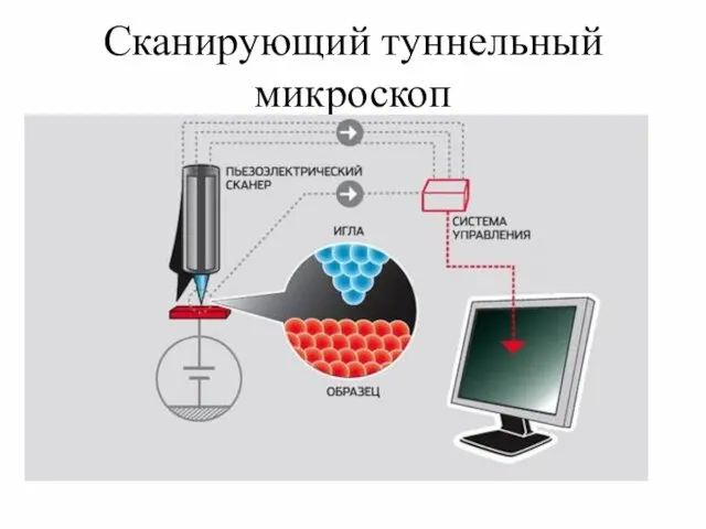 Сканирующий туннельный микроскоп