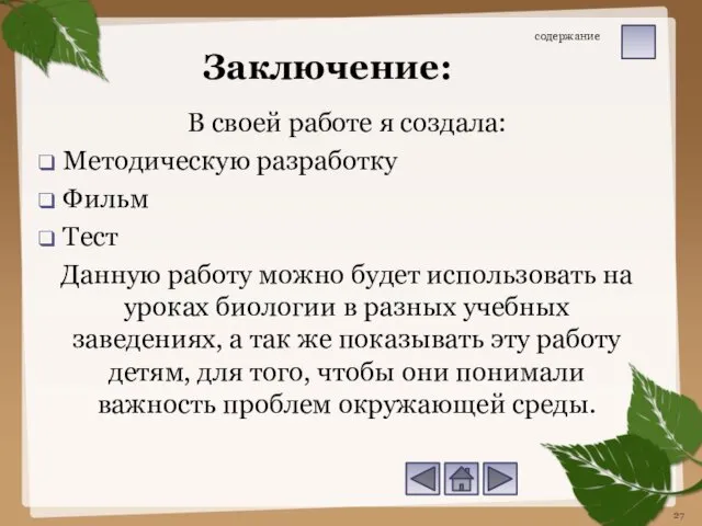 В своей работе я создала: Методическую разработку Фильм Тест Данную работу