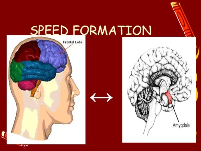 SPEED FORMATION ↔