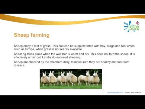 Sheep farming Sheep enjoy a diet of grass. This diet can