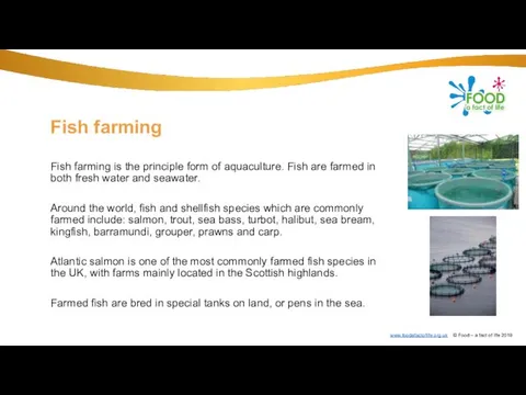 Fish farming Fish farming is the principle form of aquaculture. Fish