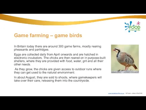 Game farming – game birds In Britain today there are around