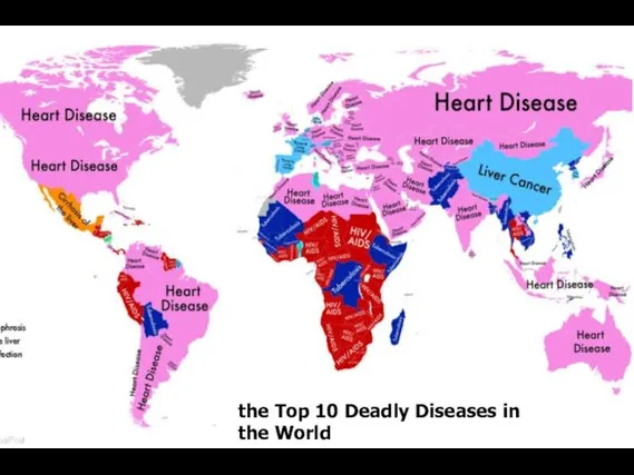 the Top 10 Deadly Diseases in the World