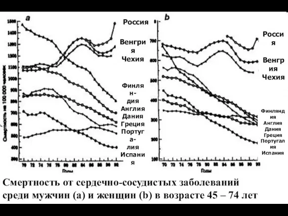 Смертность от сердечно-сосудистых заболеваний среди мужчин (а) и женщин (b) в