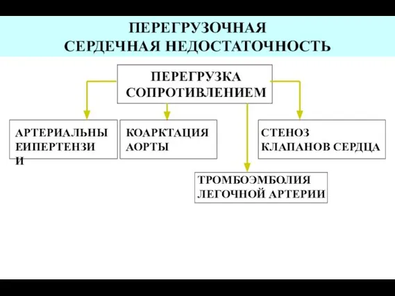 ПЕРЕГРУЗКА СОПРОТИВЛЕНИЕМ АРТЕРИАЛЬНЫЕ ГИПЕРТЕНЗИИ ПЕРЕГРУЗОЧНАЯ СЕРДЕЧНАЯ НЕДОСТАТОЧНОСТЬ КОАРКТАЦИЯ АОРТЫ ТРОМБОЭМБОЛИЯ ЛЕГОЧНОЙ АРТЕРИИ СТЕНОЗ КЛАПАНОВ СЕРДЦА