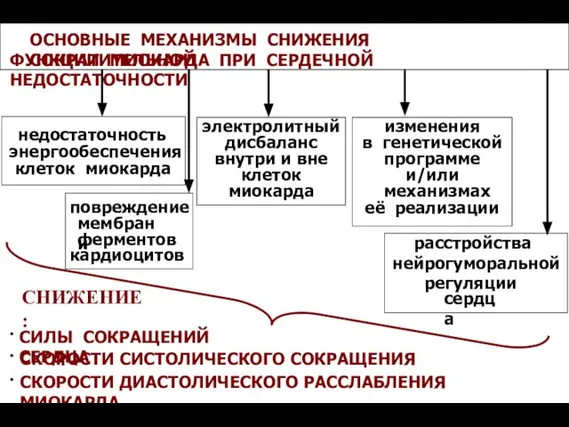 СНИЖЕНИЕ: ОСНОВНЫЕ МЕХАНИЗМЫ СНИЖЕНИЯ СОКРАТИТЕЛЬНОЙ ФУНКЦИИ МИОКАРДА ПРИ СЕРДЕЧНОЙ НЕДОСТАТОЧНОСТИ расстройства