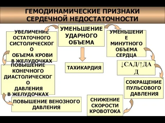 ГЕМОДИНАМИЧЕСКИЕ ПРИЗНАКИ СЕРДЕЧНОЙ НЕДОСТАТОЧНОСТИ УМЕНЬШЕНИЕ УДАРНОГО ОБЪЕМА УМЕНЬШЕНИЕ МИНУТНОГО ОБЪЕМА СЕРДЦА