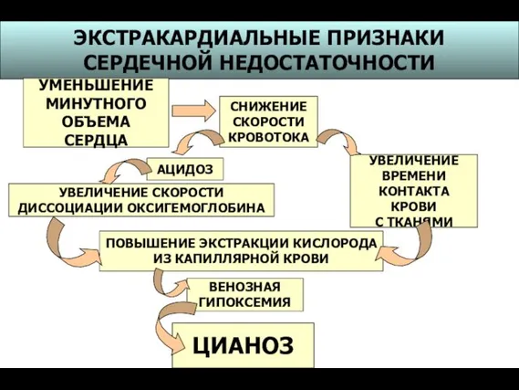 ЭКСТРАКАРДИАЛЬНЫЕ ПРИЗНАКИ СЕРДЕЧНОЙ НЕДОСТАТОЧНОСТИ УМЕНЬШЕНИЕ МИНУТНОГО ОБЪЕМА СЕРДЦА СНИЖЕНИЕ СКОРОСТИ КРОВОТОКА