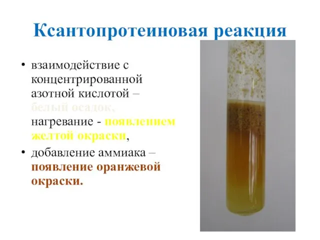 Ксантопротеиновая реакция взаимодействие с концентрированной азотной кислотой – белый осадок, нагревание