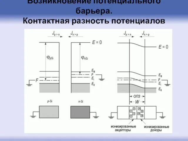 Возникновение потенциального барьера. Контактная разность потенциалов