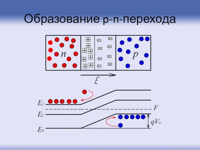 Образование p-n-перехода