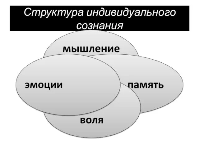 Структура индивидуального сознания