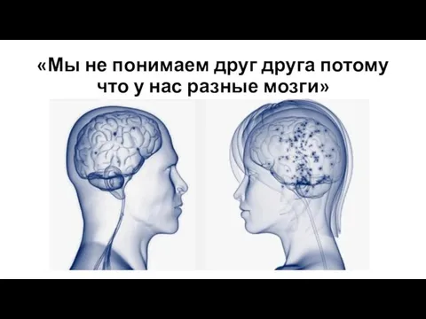 «Мы не понимаем друг друга потому что у нас разные мозги»