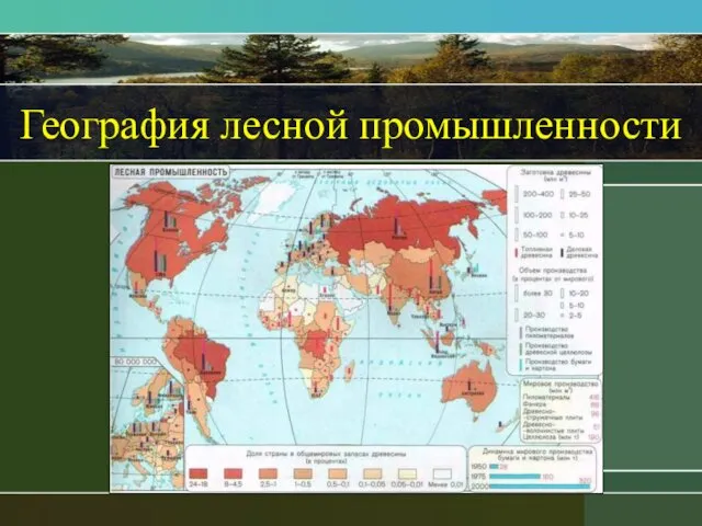 География лесной промышленности