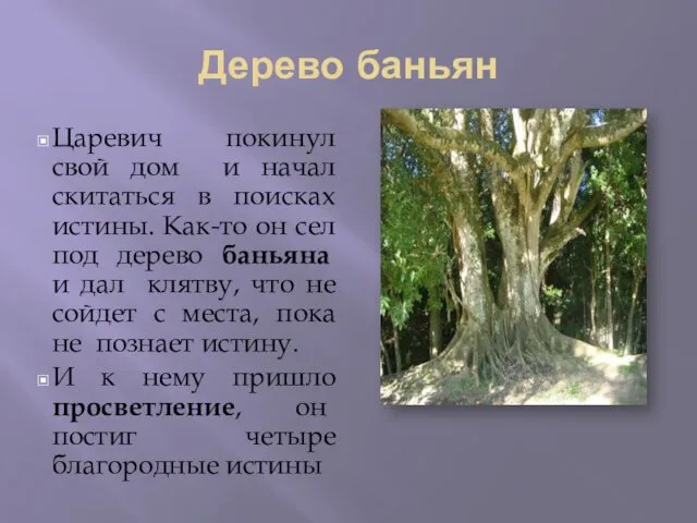 Дерево баньян Царевич покинул свой дом и начал скитаться в поисках