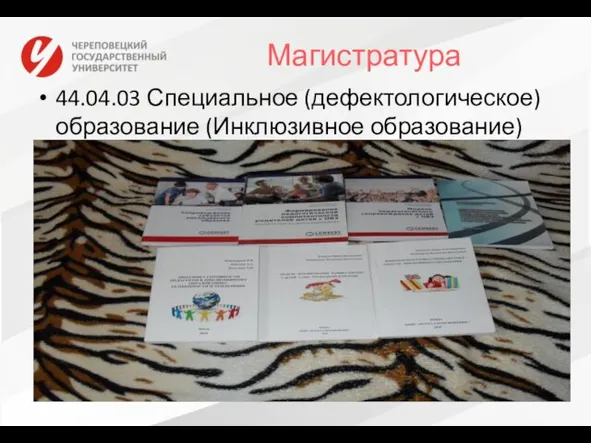 Магистратура 44.04.03 Специальное (дефектологическое) образование (Инклюзивное образование)