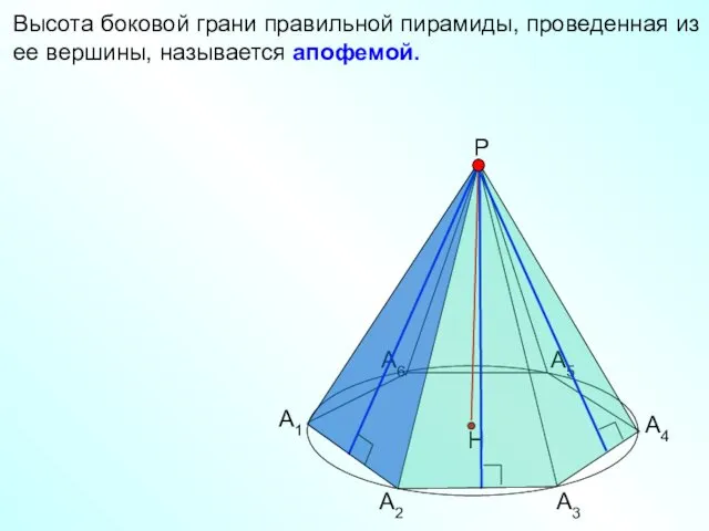 Высота боковой грани правильной пирамиды, проведенная из ее вершины, называется апофемой.