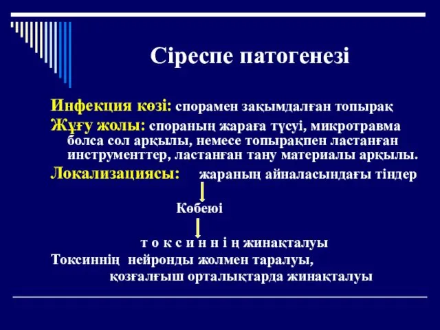 Сіреспе патогенезі Инфекция көзі: спорамен зақымдалған топырақ Жұғу жолы: спораның жараға