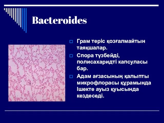 Bacteroides Грам теріс қозғалмайтын таяқшалар. Спора түзбейді, полисахаридті капсуласы бар. Адам