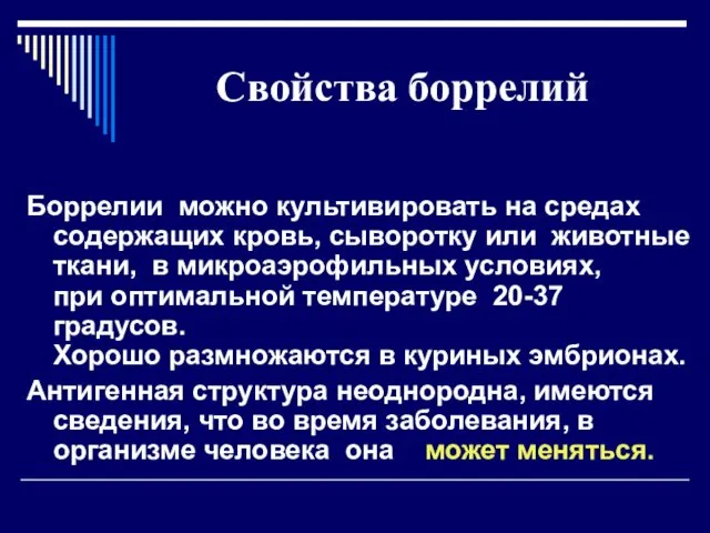 Свойства боррелий Боррелии можно культивировать на средах содержащих кровь, сыворотку или