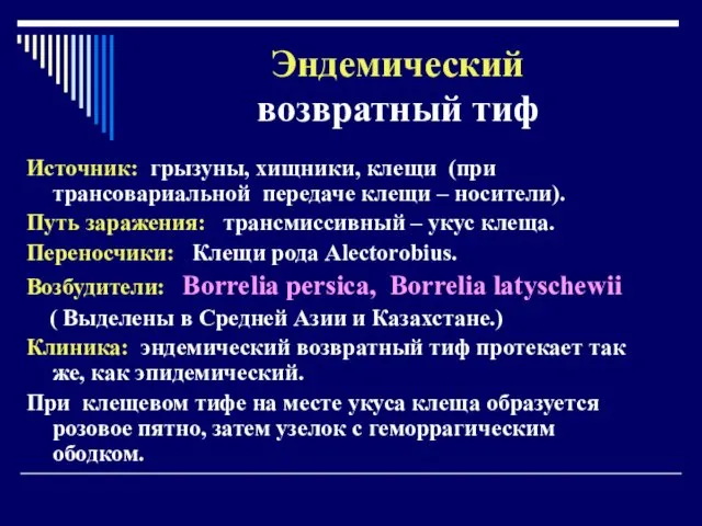 Эндемический возвратный тиф Источник: грызуны, хищники, клещи (при трансовариальной передаче клещи