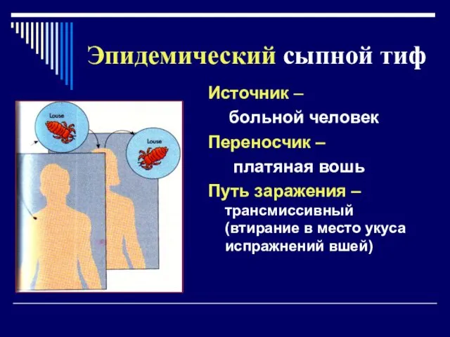 Эпидемический сыпной тиф Источник – больной человек Переносчик – платяная вошь