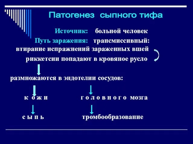 Источник: больной человек Путь заражения: трансмиссивный: втирание испражнений зараженных вшей риккетсии