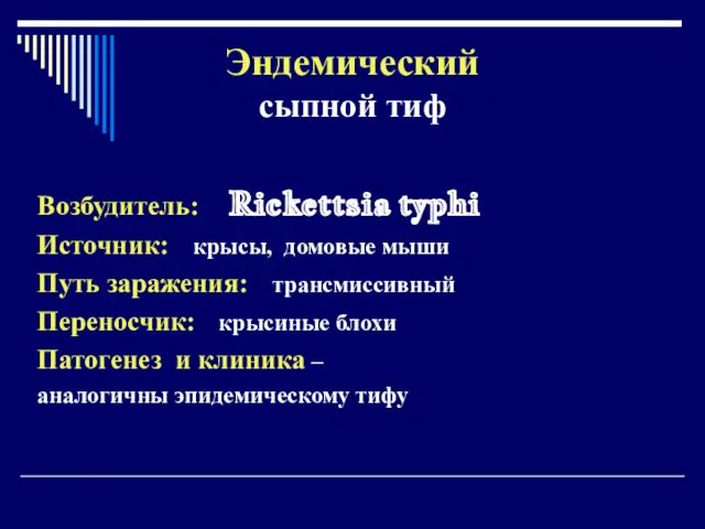 Эндемический сыпной тиф Возбудитель: Rickettsia typhi Источник: крысы, домовые мыши Путь