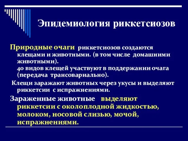 Природные очаги риккетсиозов создаются клещами и животными. (в том числе домашними