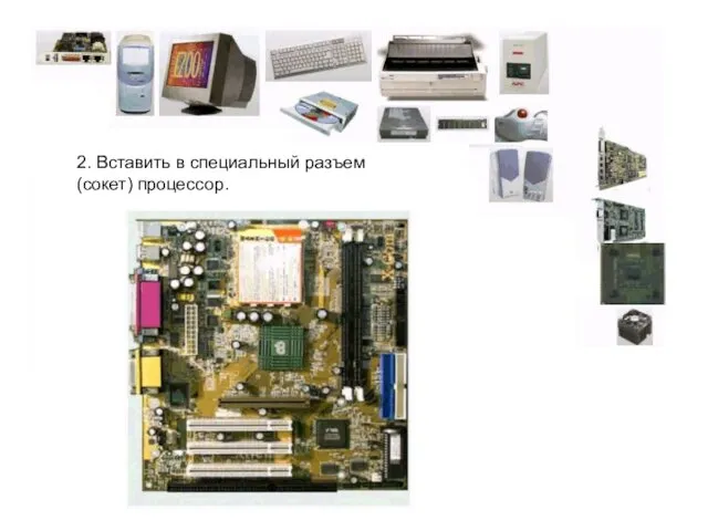 2. Вставить в специальный разъем (сокет) процессор.