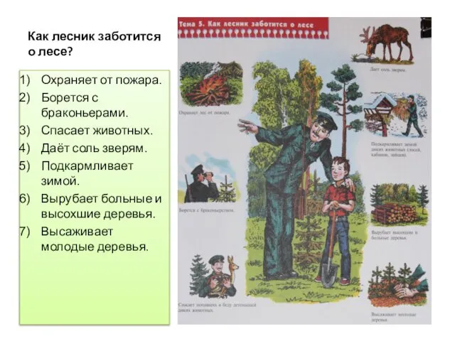 Как лесник заботится о лесе? Охраняет от пожара. Борется с браконьерами.