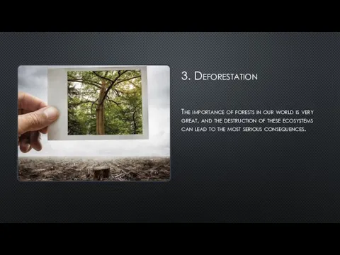 3. Deforestation The importance of forests in our world is very