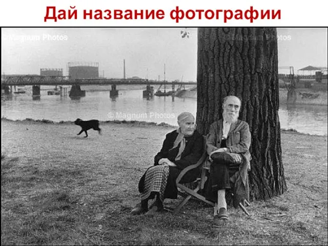 Дай название фотографии