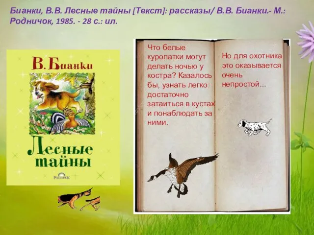 Что белые куропатки могут делать ночью у костра? Казалось бы, узнать