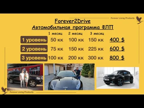 Forever2Drive Автомобильная программа ФЛП