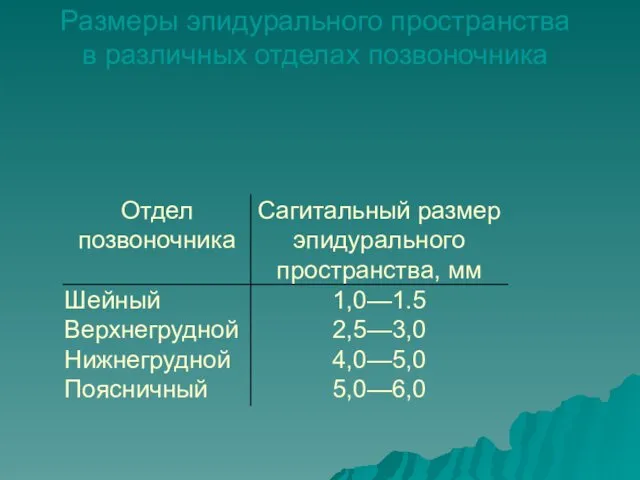 Размеры эпидурального пространства в различных отделах позвоночника